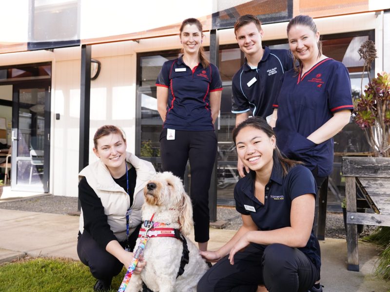 PT Rehab Team