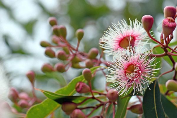 iStock-1081638604_WEB_GRID (1)_0003_iStock-1292176993_WEB_GRID