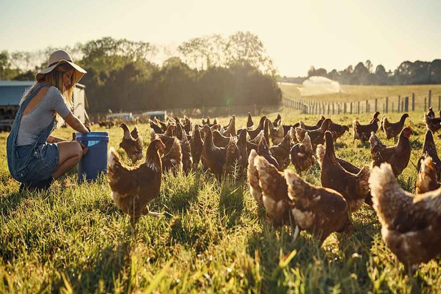 iStock-642438624_WEB